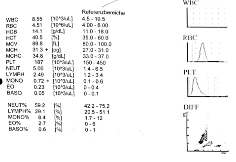 Blutbild
